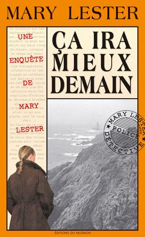 Cover of the book Ça ira mieux demain by Firmin Le Bourhis