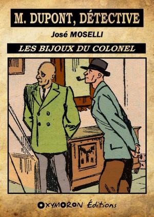 Cover of the book Les bijoux du colonel by Rodolphe Bringer