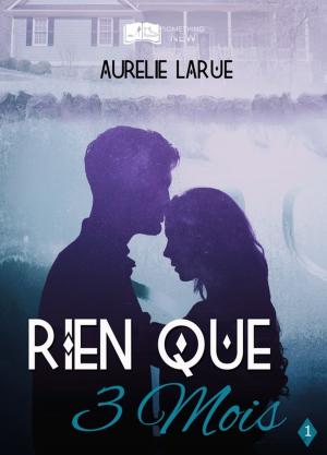 Cover of the book Rien que 3 mois by Ludivine Delaune