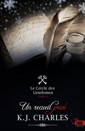 Cover of the book Un recueil privé by Jordan Castillo Price
