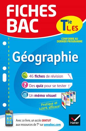 Book cover of Fiches bac Géographie Tle L, ES