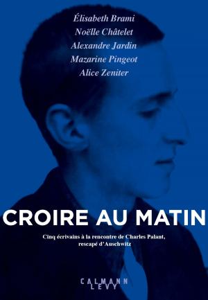 Cover of the book Croire au matin by Geneviève Senger