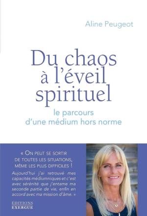 Cover of the book Du chaos à l'éveil spirituel by Bernard Raquin