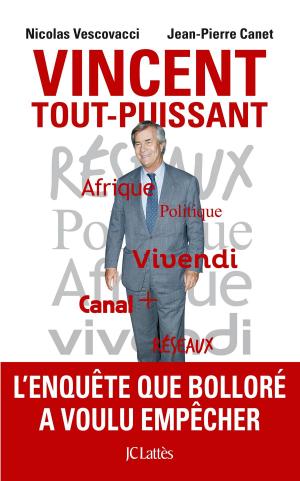 Cover of the book Vincent Tout-Puissant by Pierre-Olivier Sur