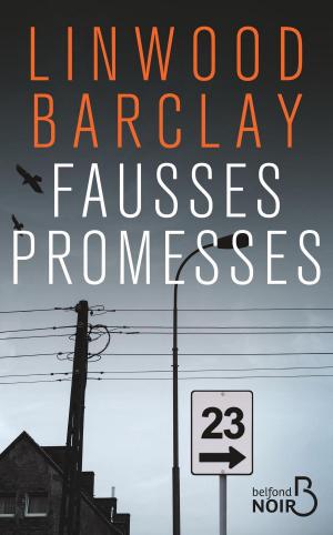 Cover of the book Fausses Promesses by Gilbert BORDES
