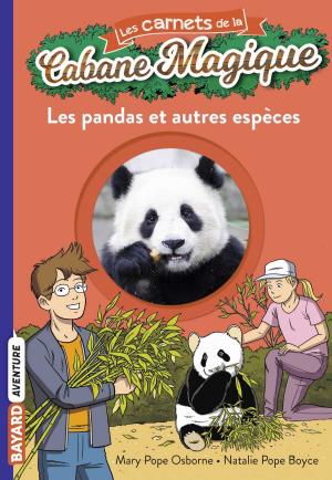 Cover of the book Les carnets de la cabane magique, Tome 22 by Nathalie Stragier