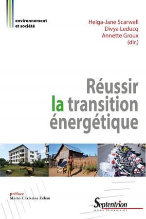 Cover of the book Réussir la transition énergétique by Collectif