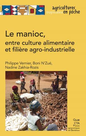 Cover of the book Le manioc, entre culture alimentaire et filière agro-industrielle by Chantal Le Mouël, Bertrand Schmitt