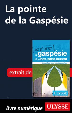 Cover of the book La pointe de la Gaspésie by Tours Chanteclerc