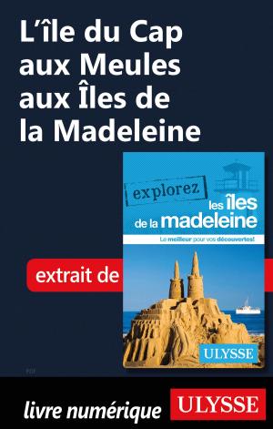 Cover of the book L’île du Cap aux Meules aux Îles de la Madeleine by Jérôme Delgado