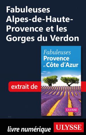 Cover of the book Fabuleuses Alpes-de-Haute-Provence et les Gorges du Verdon by Jérôme Delgado