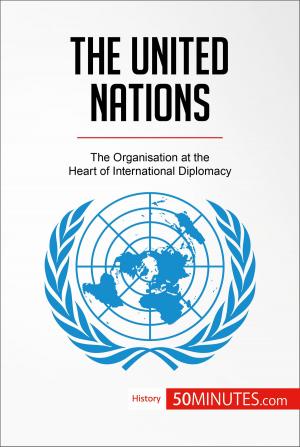 Book cover of The United Nations