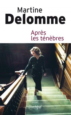 Cover of the book Après les ténèbres by Jean-Claude Liaudet