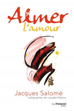 Cover of the book Aimer L'amour by Marie Lise Labonté, Ninon Prévost