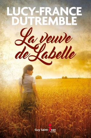 Cover of the book La veuve de Labelle by Stéphanie Deslauriers