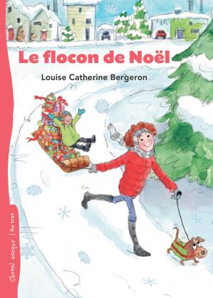 Cover of the book Le flocon de Noël by Marie-Andrée Arsenault