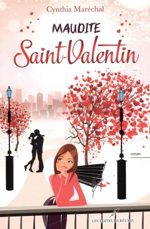 Cover of the book Maudite Saint-Valentin by Rosa Scudera