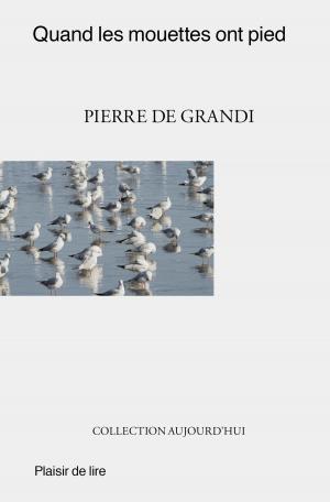 Cover of the book Quand les mouettes ont pied by Tricia Copeland