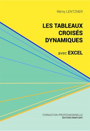 Cover of Les tableaux croisés dynamiques avec Excel
