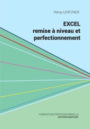 Cover of the book Excel, remise à niveau et perfectionnement by Dr. Bettine Boltres