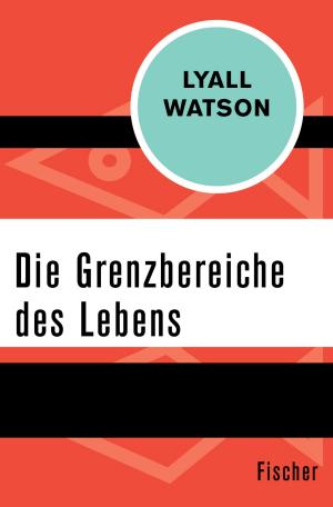 Cover of the book Die Grenzbereiche des Lebens by Helen Epstein