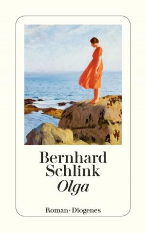 Cover of the book Olga by Rolf Dobelli
