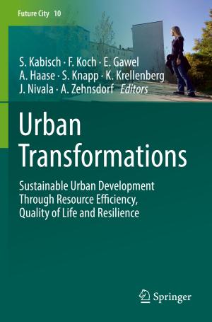 Cover of the book Urban Transformations by Raphael J. Heffron