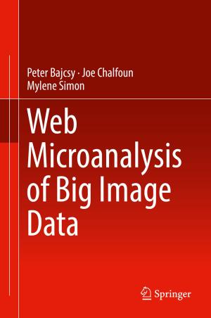 Cover of the book Web Microanalysis of Big Image Data by Jacek Czaputowicz, Anna Wojciuk