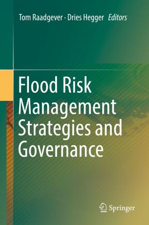 Cover of the book Flood Risk Management Strategies and Governance by Ana Silva, Jorge de Brito, Pedro Lima Gaspar