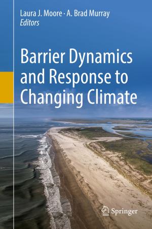 Cover of the book Barrier Dynamics and Response to Changing Climate by Mattia Tassinari