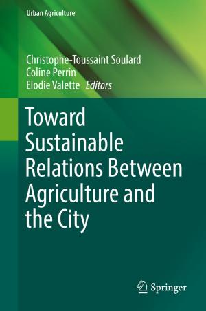 Cover of the book Toward Sustainable Relations Between Agriculture and the City by Simona Bigerna, Carlo Andrea Bollino, Silvia Micheli