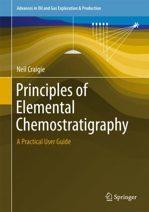 Cover of the book Principles of Elemental Chemostratigraphy by Jeanne Allen, Glenda McGregor, Donna Pendergast, Michelle Ronksley-Pavia