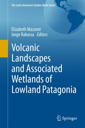 Cover of the book Volcanic Landscapes and Associated Wetlands of Lowland Patagonia by Raymond Duval