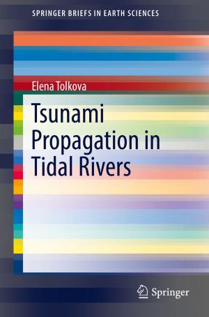 Cover of the book Tsunami Propagation in Tidal Rivers by Lina K. Blusch