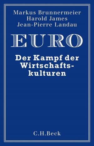 Cover of the book Euro by Hansjörg Küster