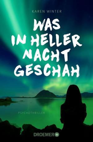 Cover of the book Was in heller Nacht geschah by Stefanie Baumm