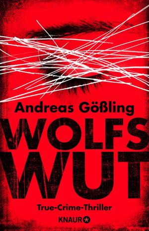 Cover of the book Wolfswut by Friedrich Ani