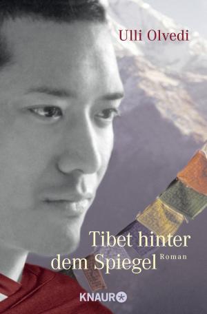 Book cover of Tibet hinter dem Spiegel