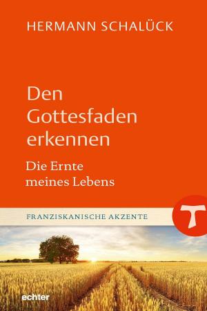 Cover of the book Den Gottesfaden erkennen by Stefan Kiechle