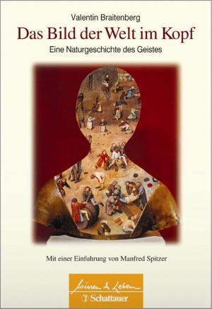 Cover of the book Das Bild der Welt im Kopf by Johann Caspar Rüegg