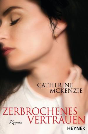 Book cover of Zerbrochenes Vertrauen