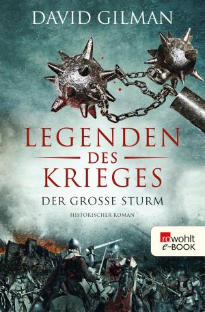 Cover of the book Legenden des Krieges: Der große Sturm by Moriz Scheyer