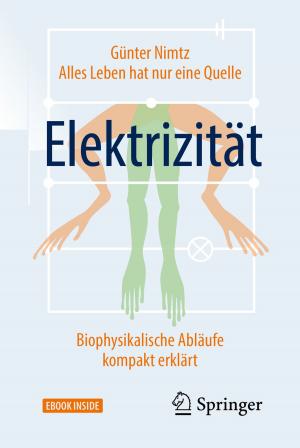 Cover of the book Alles Leben hat nur eine Quelle: Elektrizität by Frank Eckardt