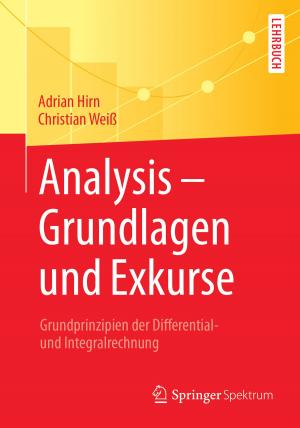 Cover of Analysis – Grundlagen und Exkurse
