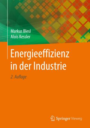 Cover of the book Energieeffizienz in der Industrie by Jörg Becker, Axel Winkelmann