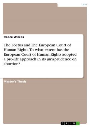 Cover of the book The Foetus and The European Court of Human Rights. To what extent has the European Court of Human Rights adopted a pro-life approach in its jurisprudence on abortion? by Kai-Uwe Heinz