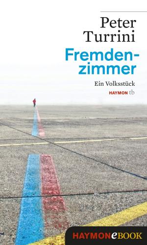 Cover of the book Fremdenzimmer by Jürg Amann