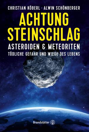 Cover of the book Achtung Steinschlag! by Theresa Baumgärtner, Marina Jerkovic