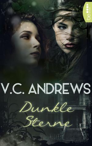 Cover of the book Dunkle Sterne by Carina Zacharias