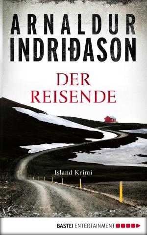 Cover of the book Der Reisende by Steve Gerlach